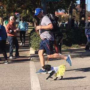 Meet your Posher, Joel